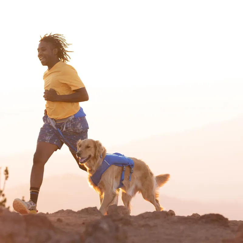 Ruffwear Trail Runner Running Vest in Blue Pool - Small -10